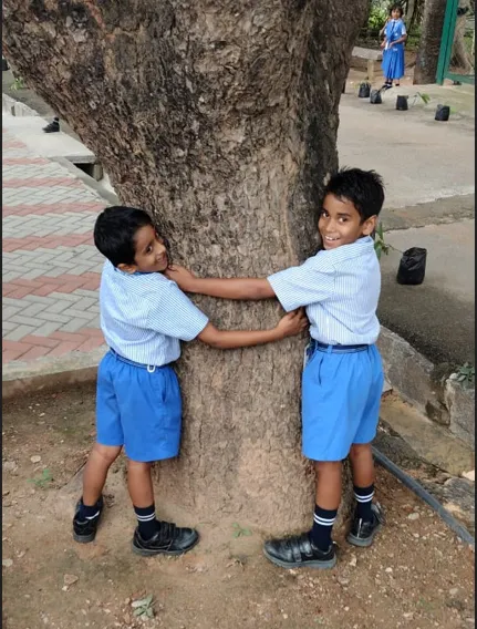 Nature is beautiful 2