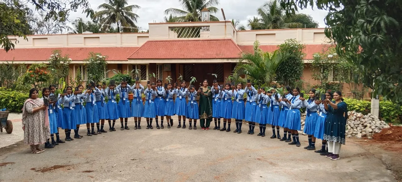 Nature is beautiful 2